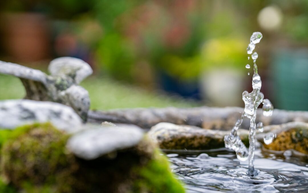 Custom Water Features: Elevate the Ambiance of Your Braselton, Georgia Luxury Landscape