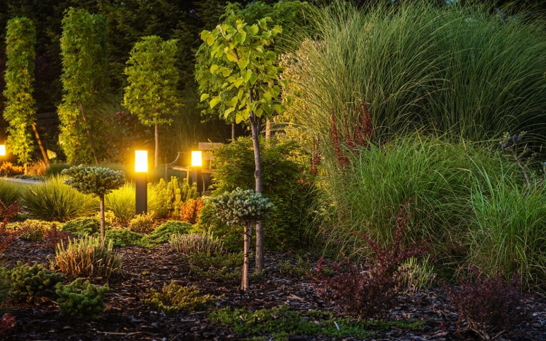 Elevate Your Athens, Georgia Home with Stunning Landscape Lighting Design