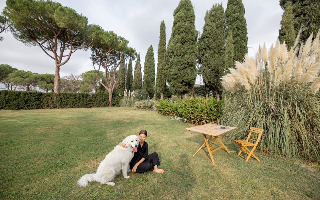 Create a Pet-Friendly Luxury Landscape in Athens, Georgia: Design Tips for a Safe and Stylish Outdoor Space