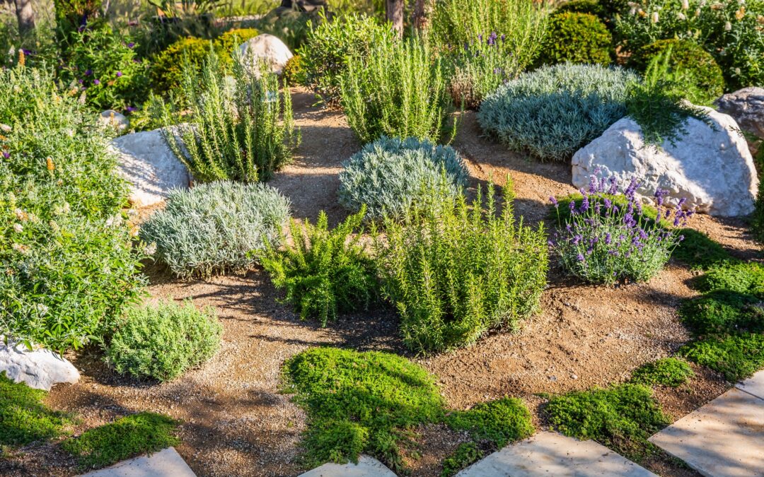 Mastering the Art of Xeriscaping for Your Landscape: Sustainable Design Meets Elegant Living