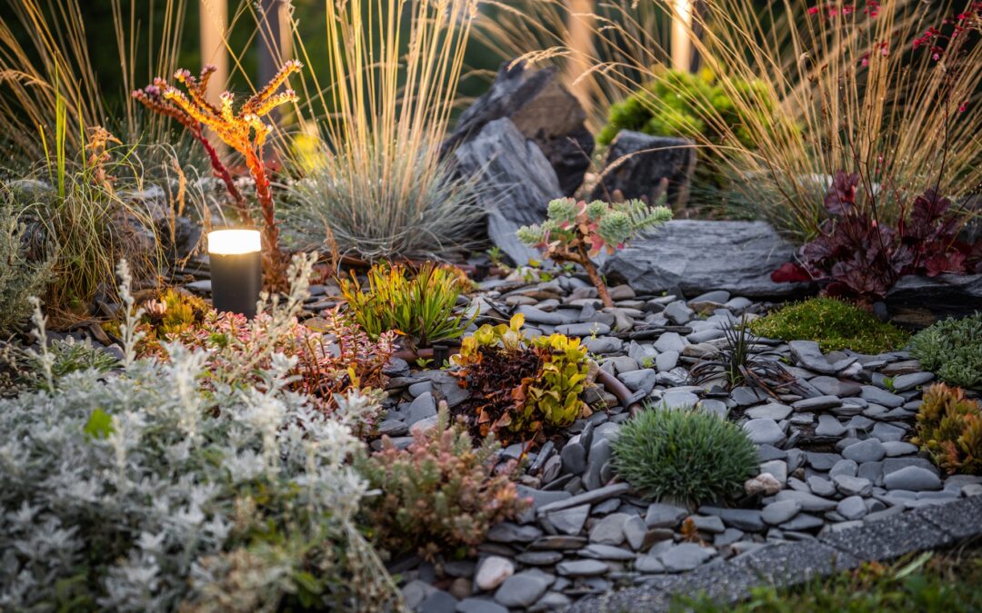 Designing a Tranquil Dry Creek Bed for Your Hoschton Landscape