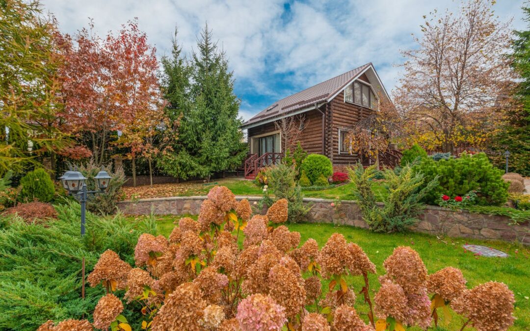 How To Maintain Your Landscape During the Summer