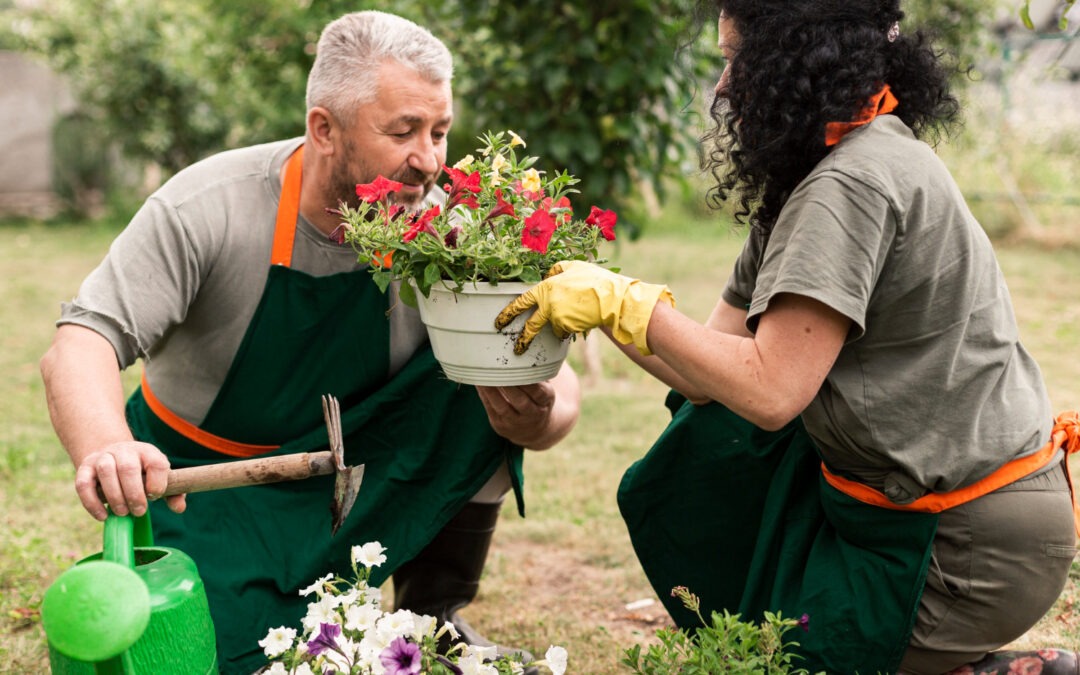 Caring for Your Garden in Braselton’s Fall