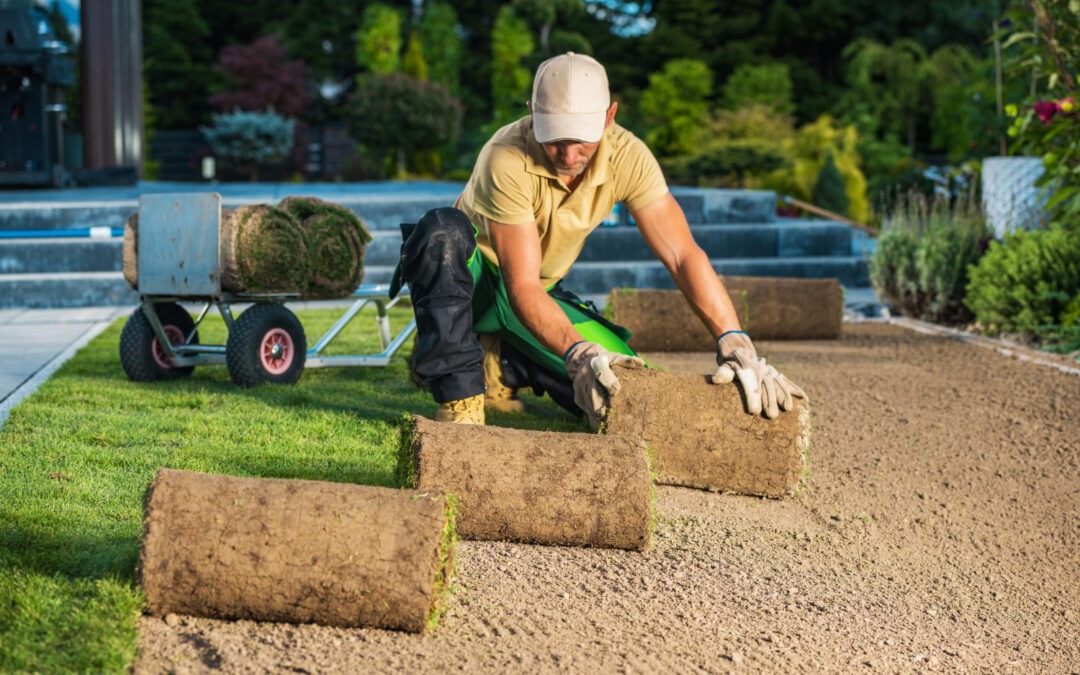 Eco-Friendly Landscaping Tips for Jefferson