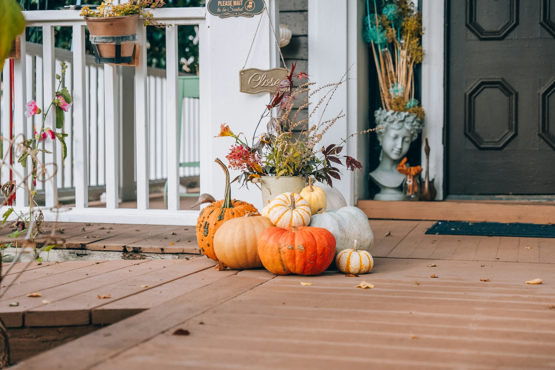 deck during autumn