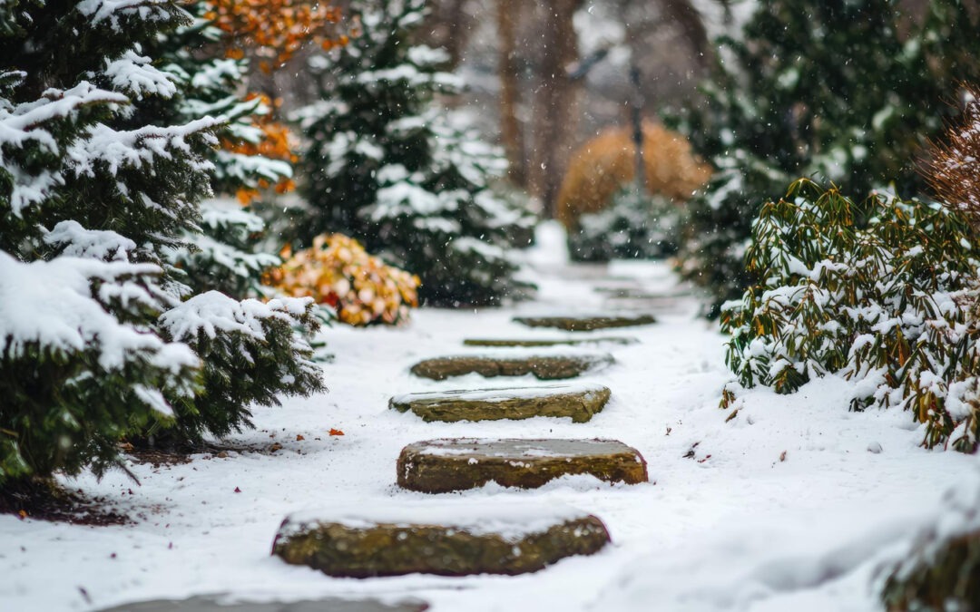 How To Keep Your Garden Thriving in Winter