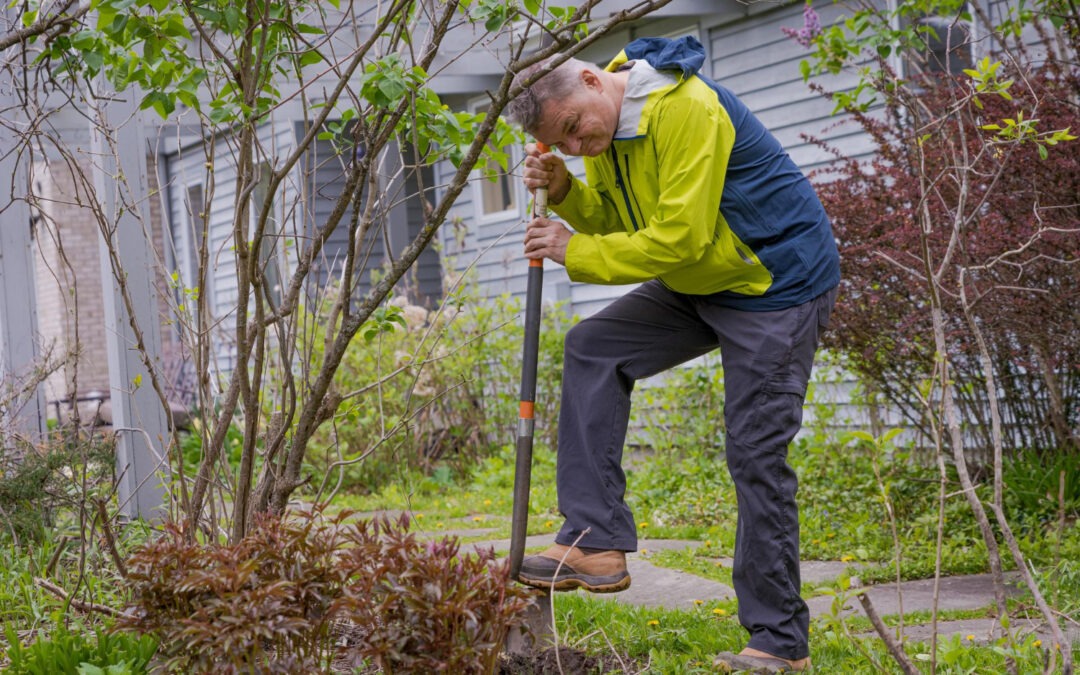 Solving Common Landscaping Problems in Athens