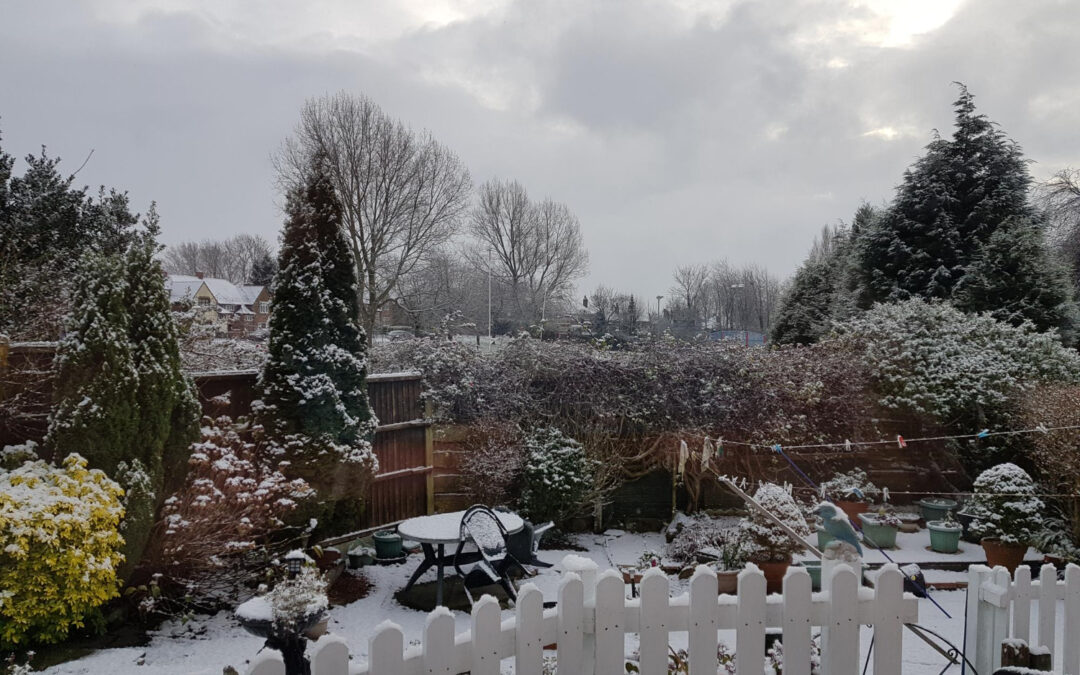 Winter Maintenance Strategies for Gardens
